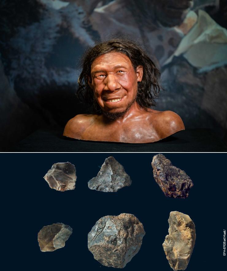 Реконструкција лица неандерталца у Националном музеју антиквитета у Лајдену и окресане алатке праљуди са налазишта Гвозденац код Трстеника