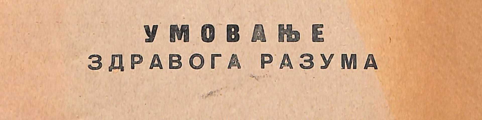 Скица за портрет Васе Пелагића: Народни учитељ, богослов, устаник и социјалиста 