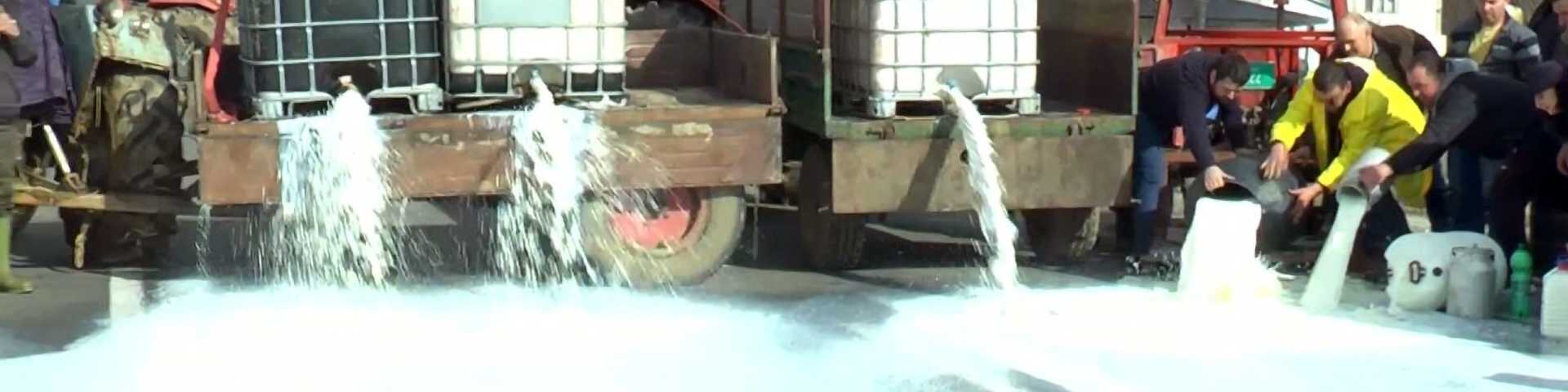 Протести и блокаде пољопривредника: Зашто треба жалити за просутим млеком, а не треба ограничити увоз