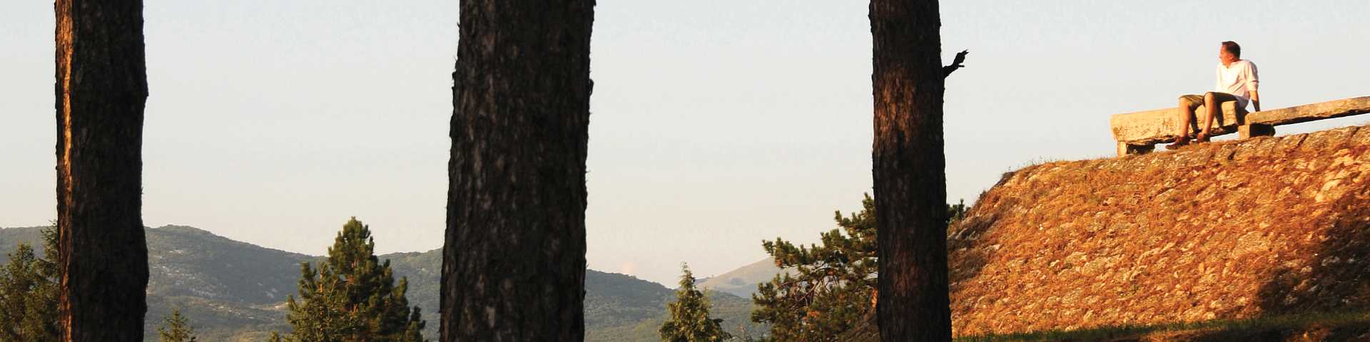 Тако је писао, говорио, мислио, ћутао Б.К.: Од љубов не се бега