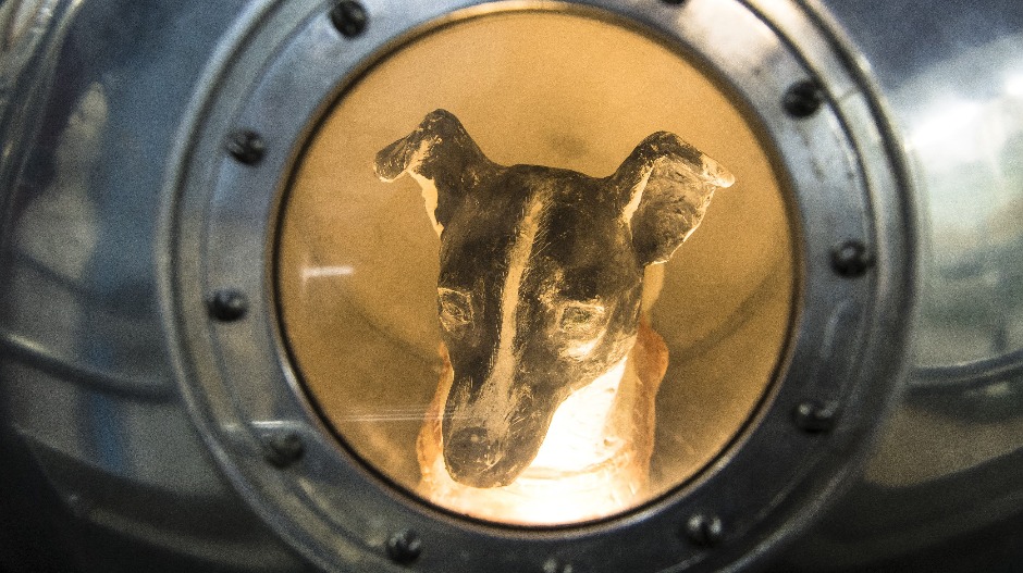Од космичке хајке до космонаутске мајке: Како је један пас постао симбол човечанске жртве