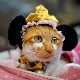 Највећа мачка на свету над градом без животиња: Токијски кућни љубимци и обичаји с њима у вези