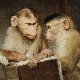 Читање је штетно и за душу и за главу: Због чега приматима никад не искључују електр(он)ику 